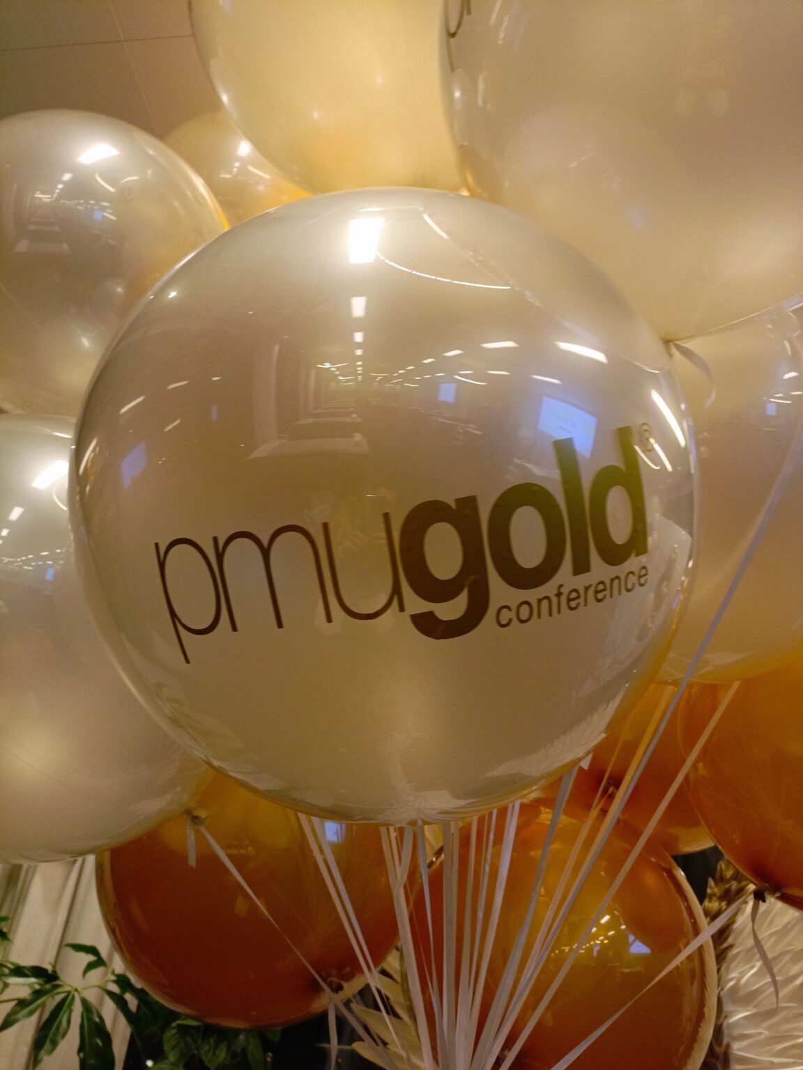 balon z logo