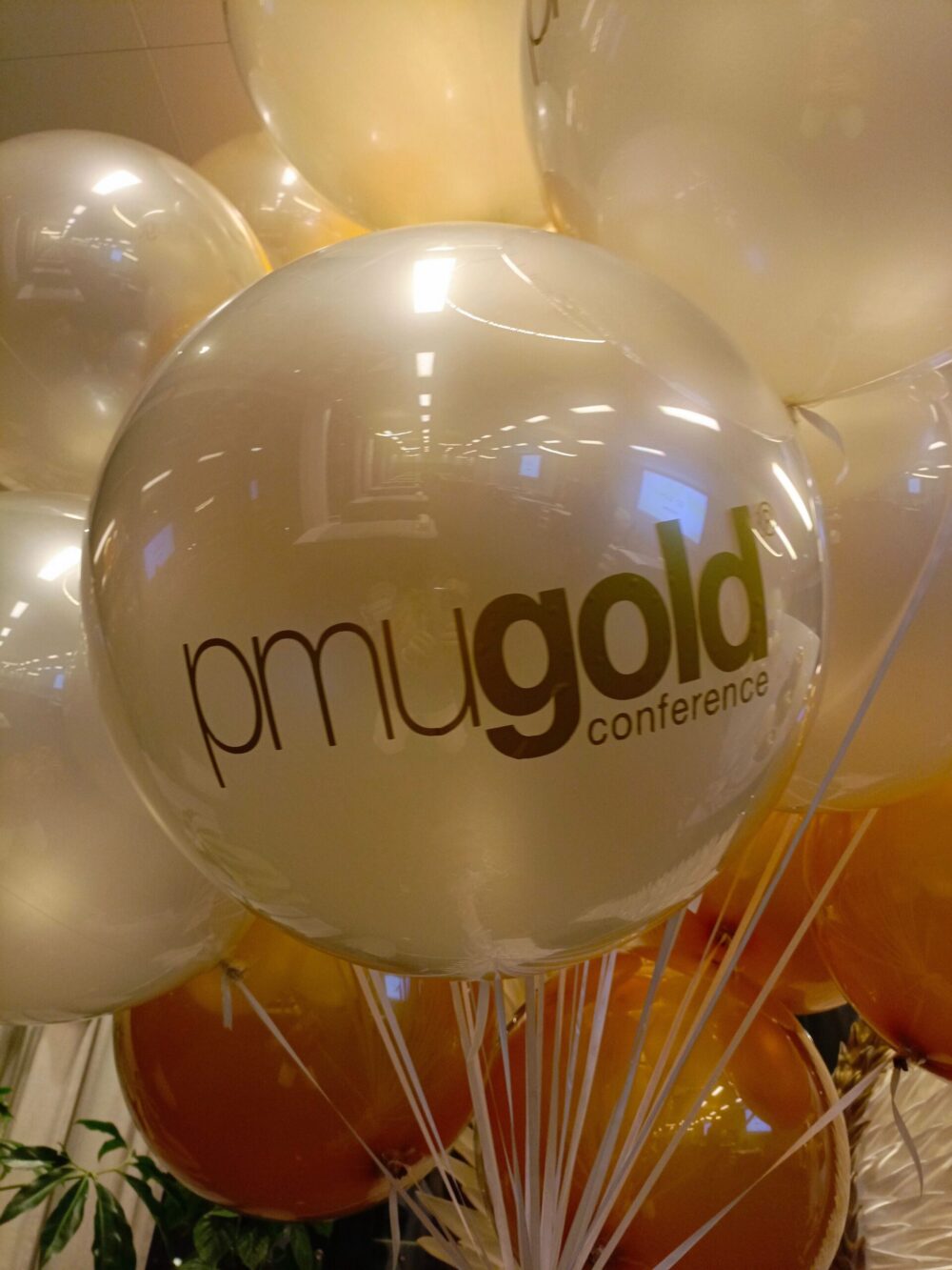 balon z logo